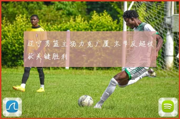 辽宁男篮主场力克广厦 末节反超收获关键胜利