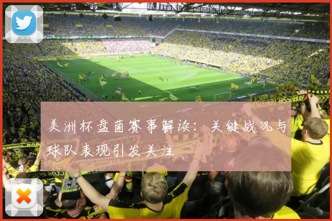 美洲杯盘菌赛事解读：关键战况与球队表现引发关注