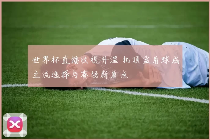 世界杯直播收视升温 机顶盒看球成主流选择与赛场新看点
