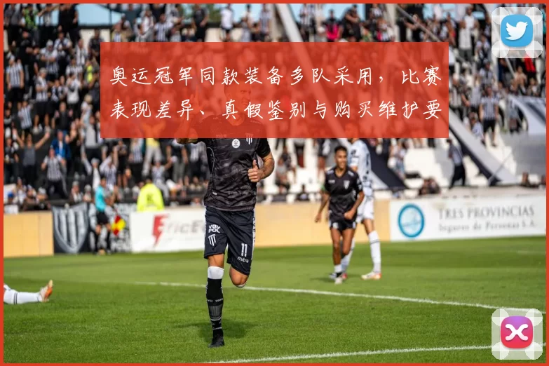 奥运冠军同款装备多队采用，比赛表现差异、真假鉴别与购买维护要点
