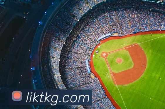 开云app官方版网站登录入口 - 开云(中国)平台生态图