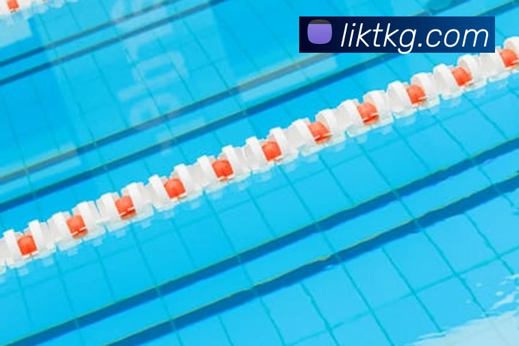 开云app官方版网站登录入口 - 开云(中国)APP 封面图